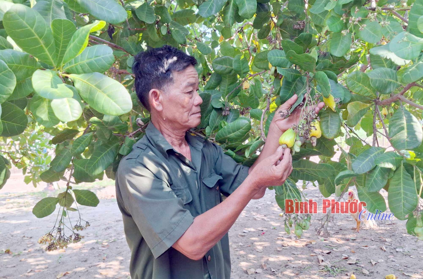 NGƯỜI CHIẾN SĨ GIAO LIÊN NGUYỄN VĂN RỚT – TẤM GƯƠNG YÊU NƯỚC TRÊN QUÊ HƯƠNG CHƠN THÀNH