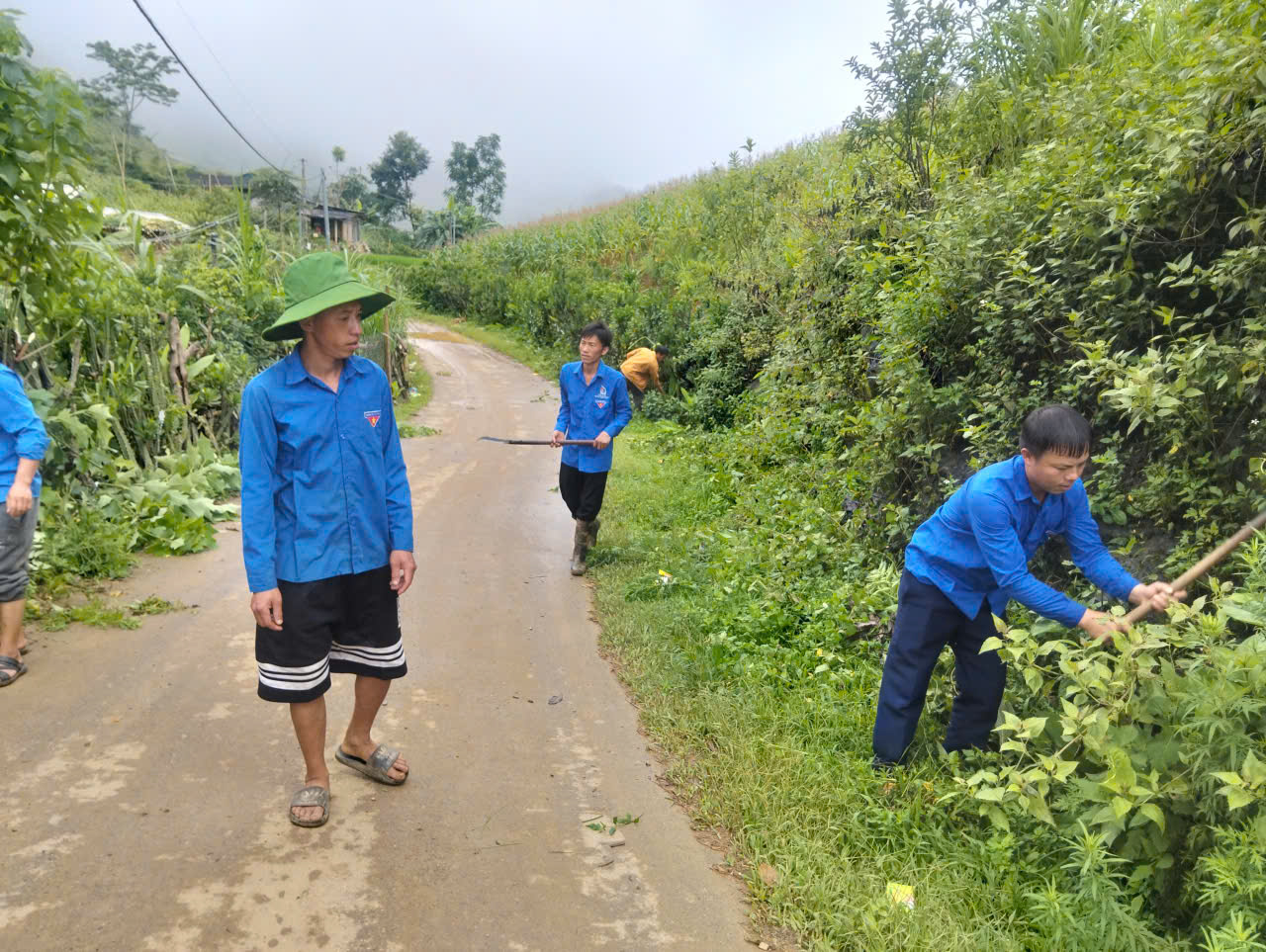 Thanh niên tình nguyện