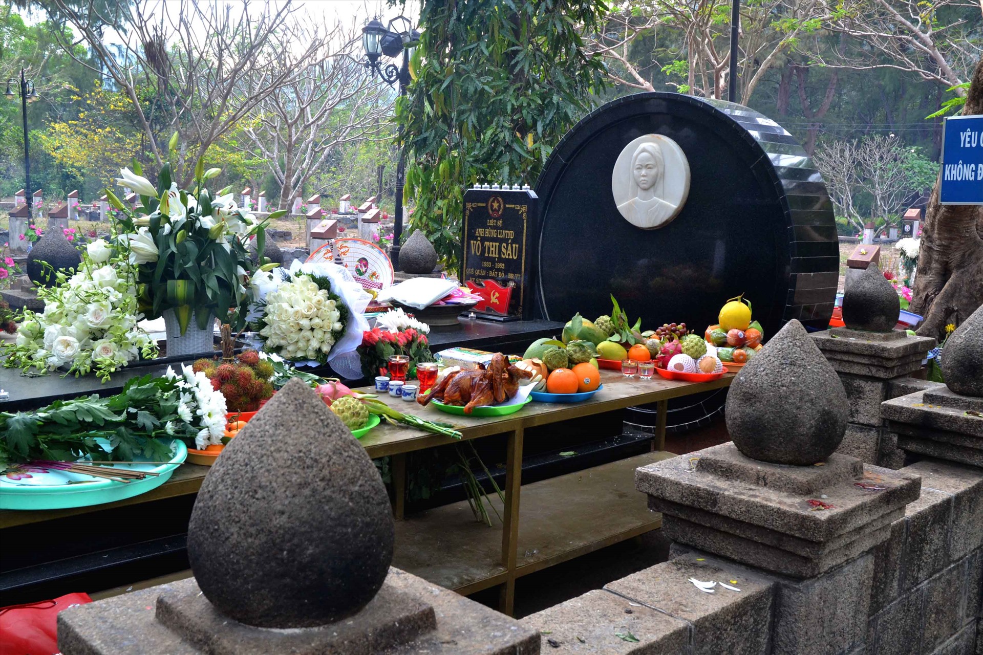 Đóa hoa bất tử giữa mùa hoa lửa