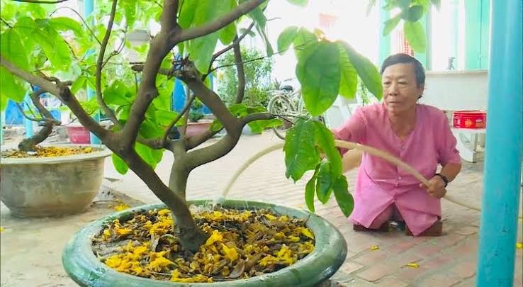 BẢN HÙNG CA SẮT ĐÁ CỦA NGƯỜI NỮ DU KÍCH " TÁM TIỆM"