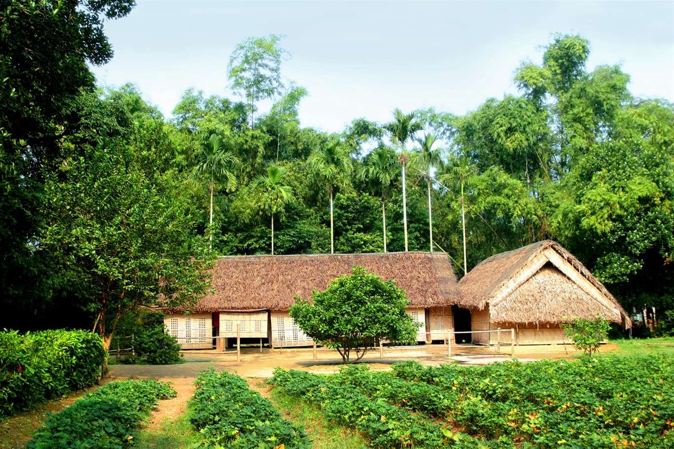 Hồ Chí Minh: Từ người thanh niên Nguyễn Tất Thành đến vị Cha già dân tộc