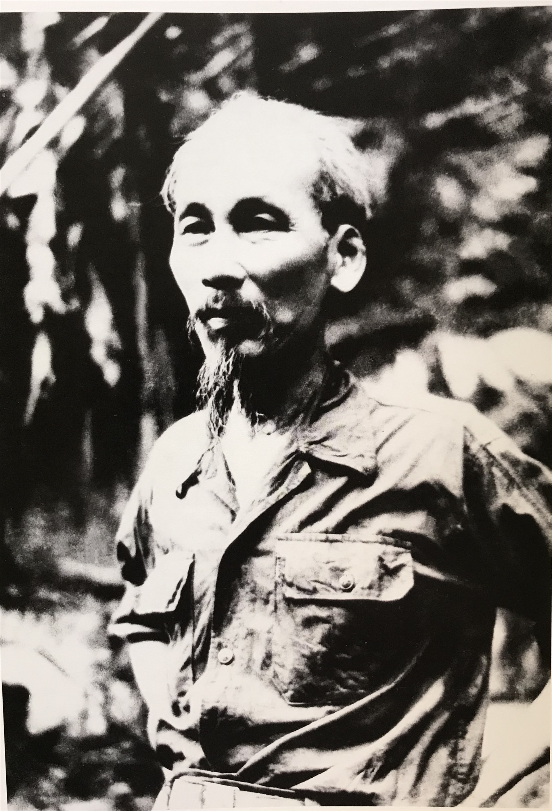 5. Bác Hồ và tinh thần tự học