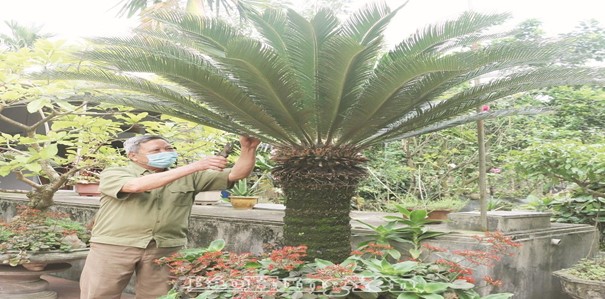 Ký ức thời hoa lửa