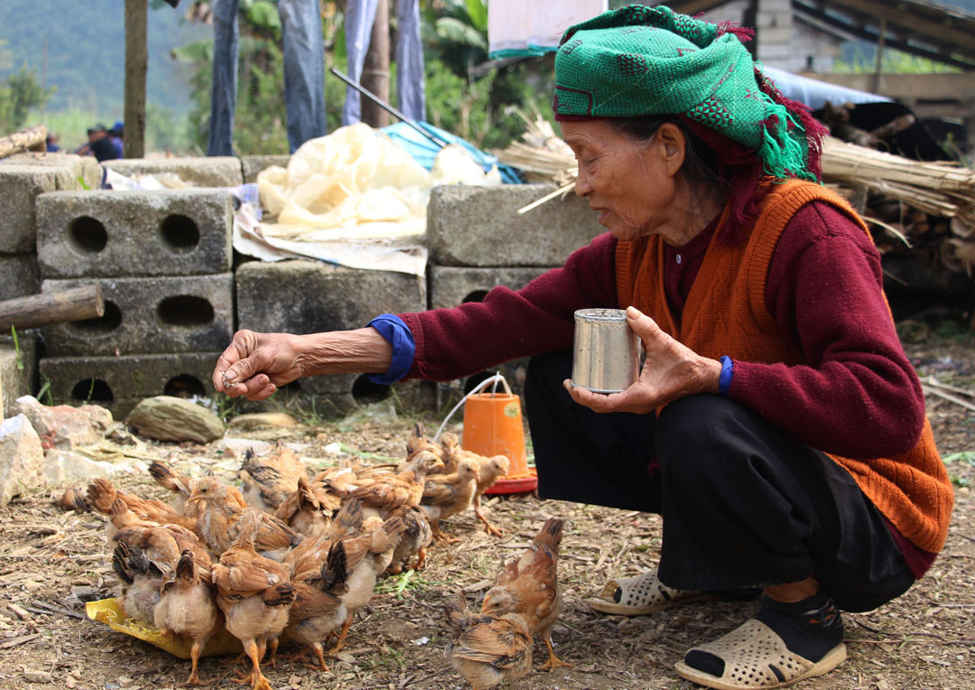 NGƯỜI MẸ KIÊN TRUNG
