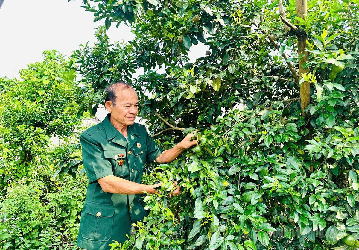 Nguyễn Văn Ba – Người kể chuyện từ những ngày xa
