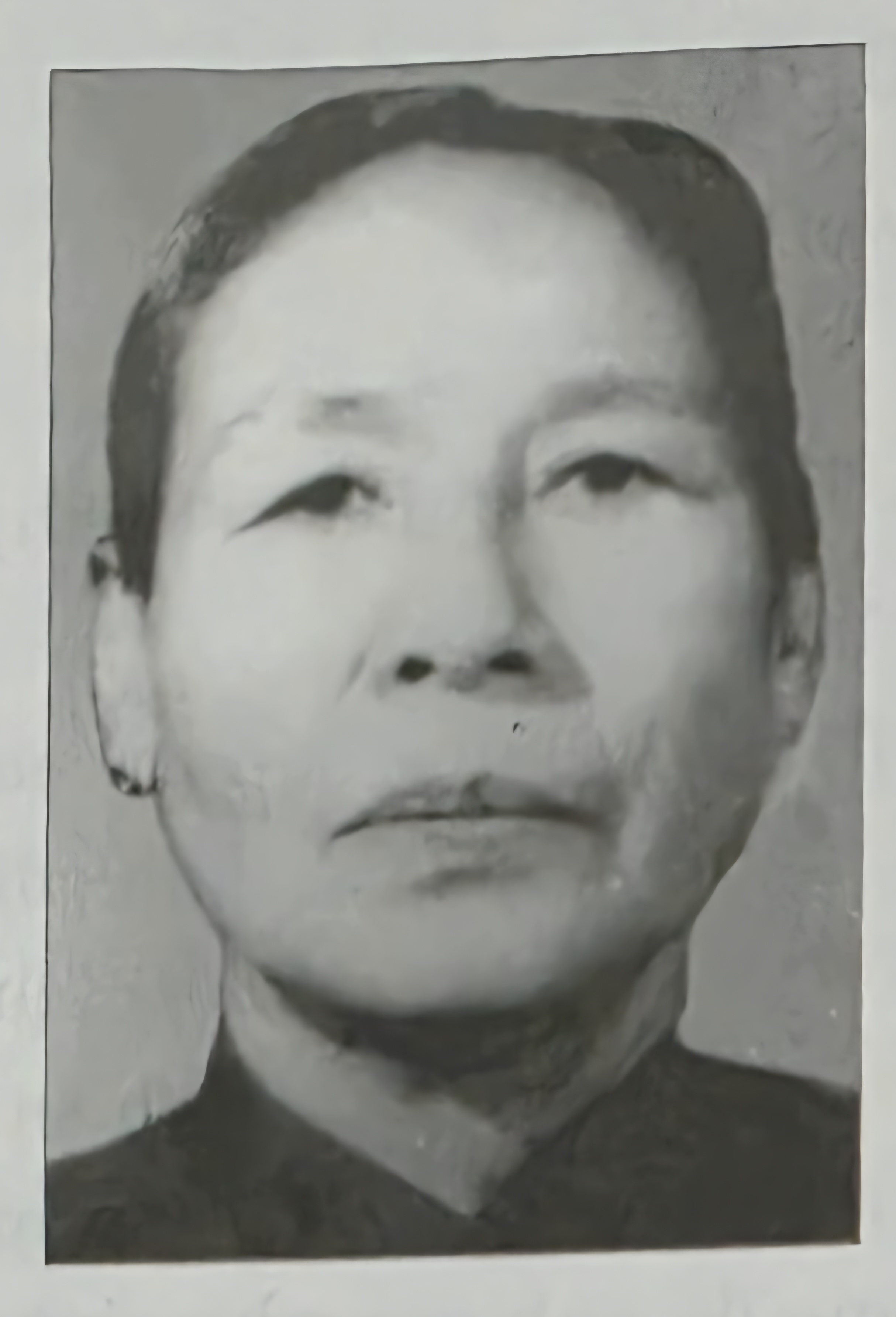 MẸ VIỆT NAM ANH HÙNG LÊ THỊ LONG