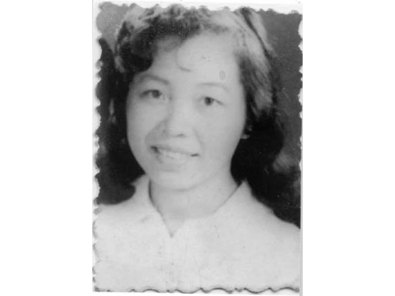 "Chiếc bút giữa chiến trường" - Đặng Thùy Trâm