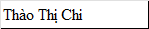Người đội viên dũng cảm