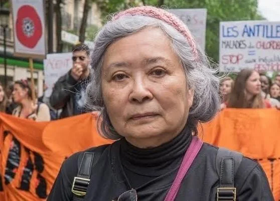 Hành trình 15 năm đi tìm công lý của bà Trần Tố Nga