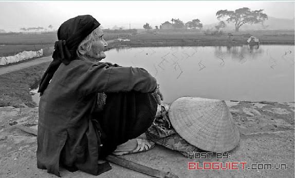 Người mẹ chờ con