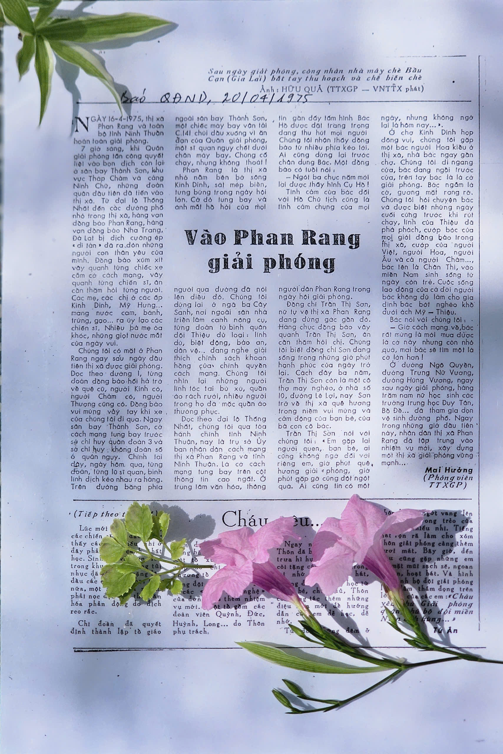 Kỷ vật từ những ngày Phan Rang giải phóng