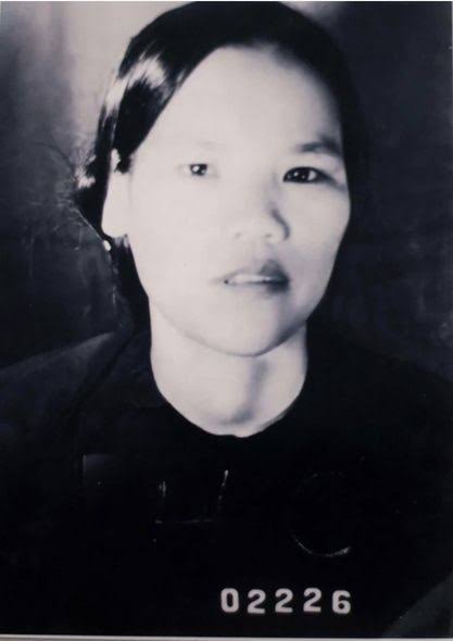 Hạt giống sau mùa bom