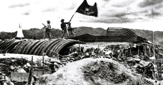Củ khoai Khai