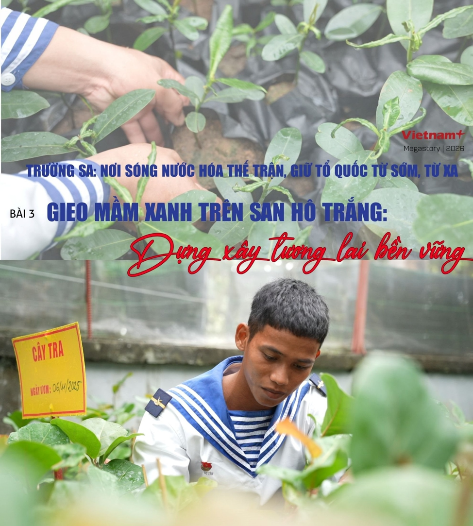 KÝ SỰ “TRƯỜNG SA” – GIEO MẦM XANH TRÊN SAN HÔ TRẮNG ( P3 )