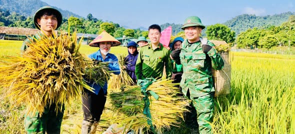 ĐOÀN VIÊN THANH NIÊN CÔNG AN NGHỆ AN RA QUÂN GIÚP NHÂN DÂN THU HOẠCH LÚA BỊ NGẬP ÚNG