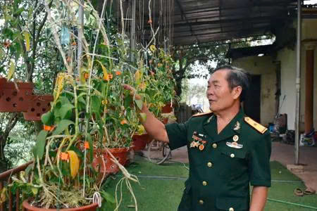 Ký ức thời hoa lửa