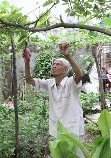 Cây cầu trong mưa bom