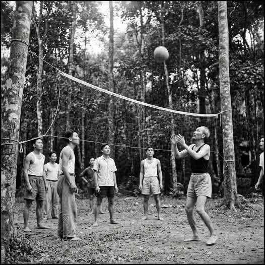 khoảnh khắc đời thường nhưng đầy ý nghĩa của Hồ Chí Minh