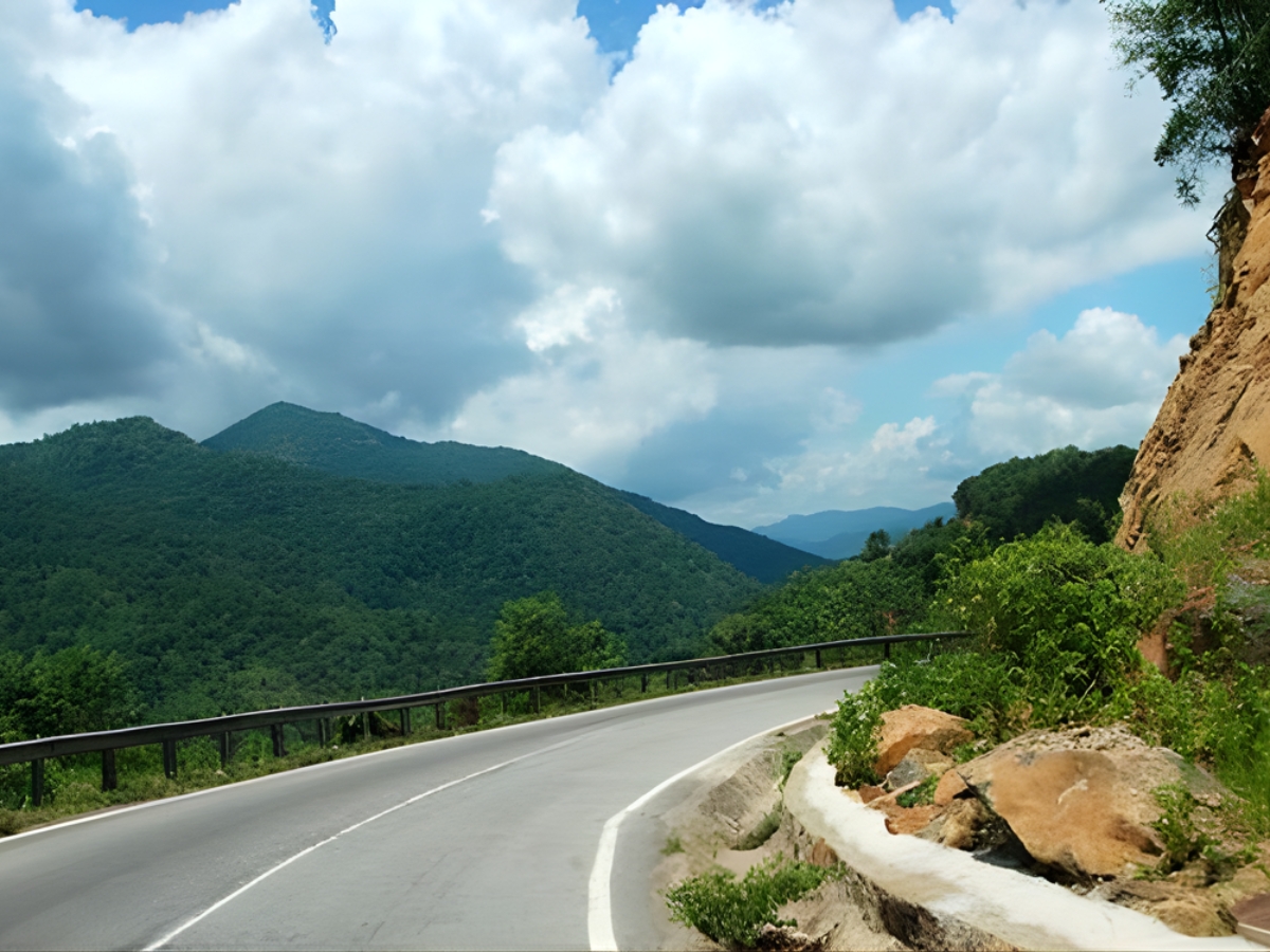 Những "Đóa hoa đá" trên đèo Tam Điệp