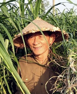 Hồ Giáo 