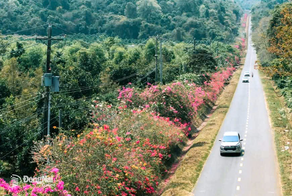 .Chiến khu Đ - vùng đất lịch sử vươn mình
