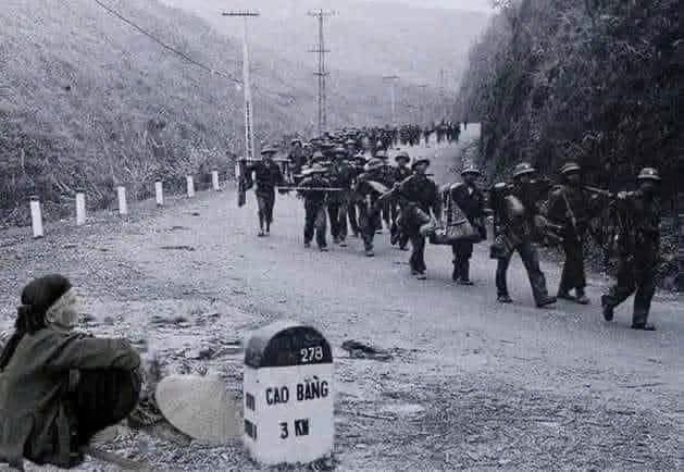 MẸ VIỆT NAM