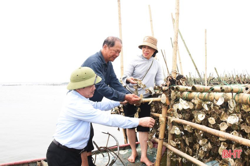 Cựu chiến binh Lộc Hà hăng say làm kinh tế, đi đầu trong các hoạt động