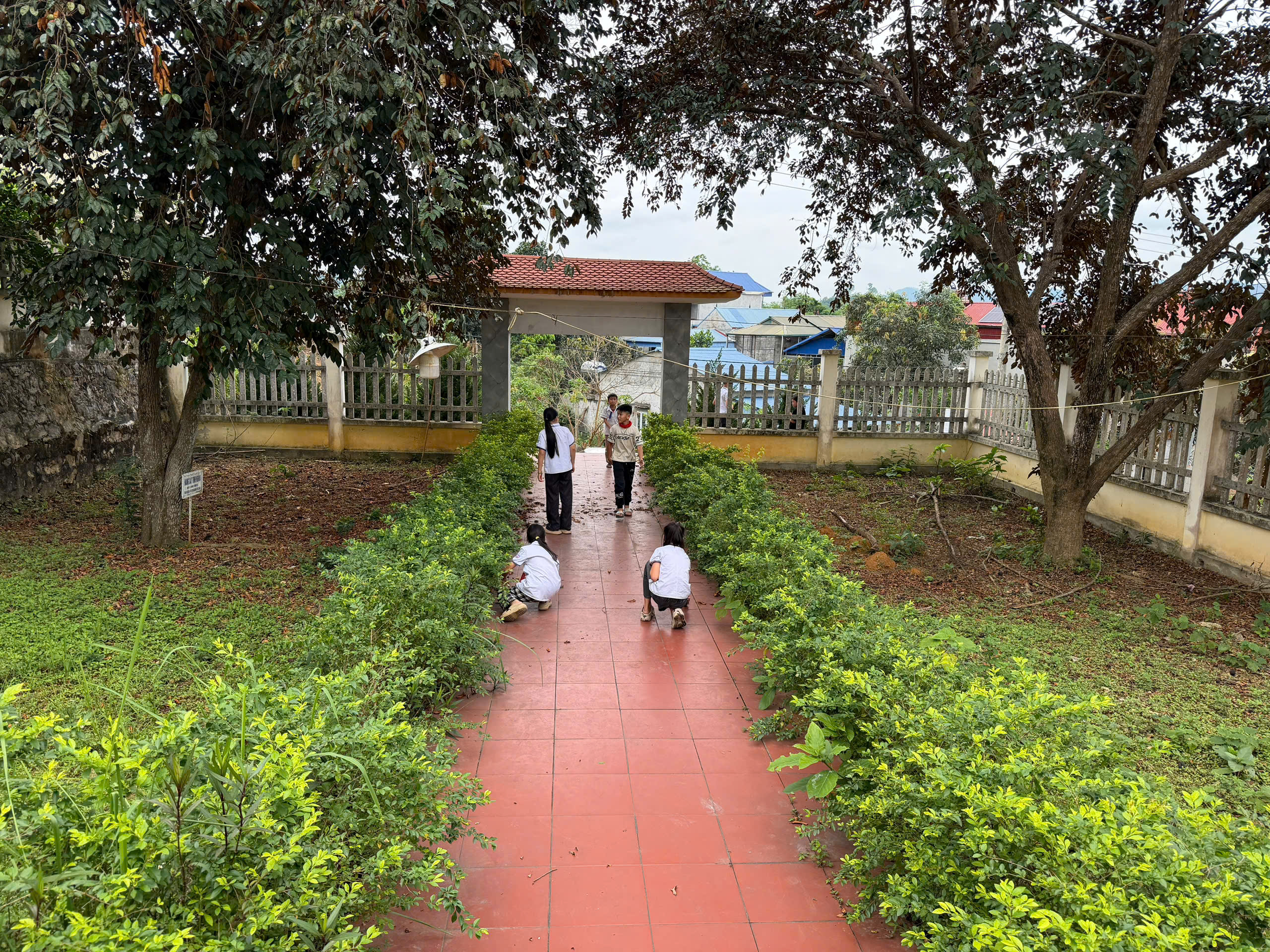 CHI ĐOÀN TRƯỜNG TIỂU HỌC YÊN NINH- TRI ÂN LỊCH SỬ. GIEO MẦM YÊU NƯỚC