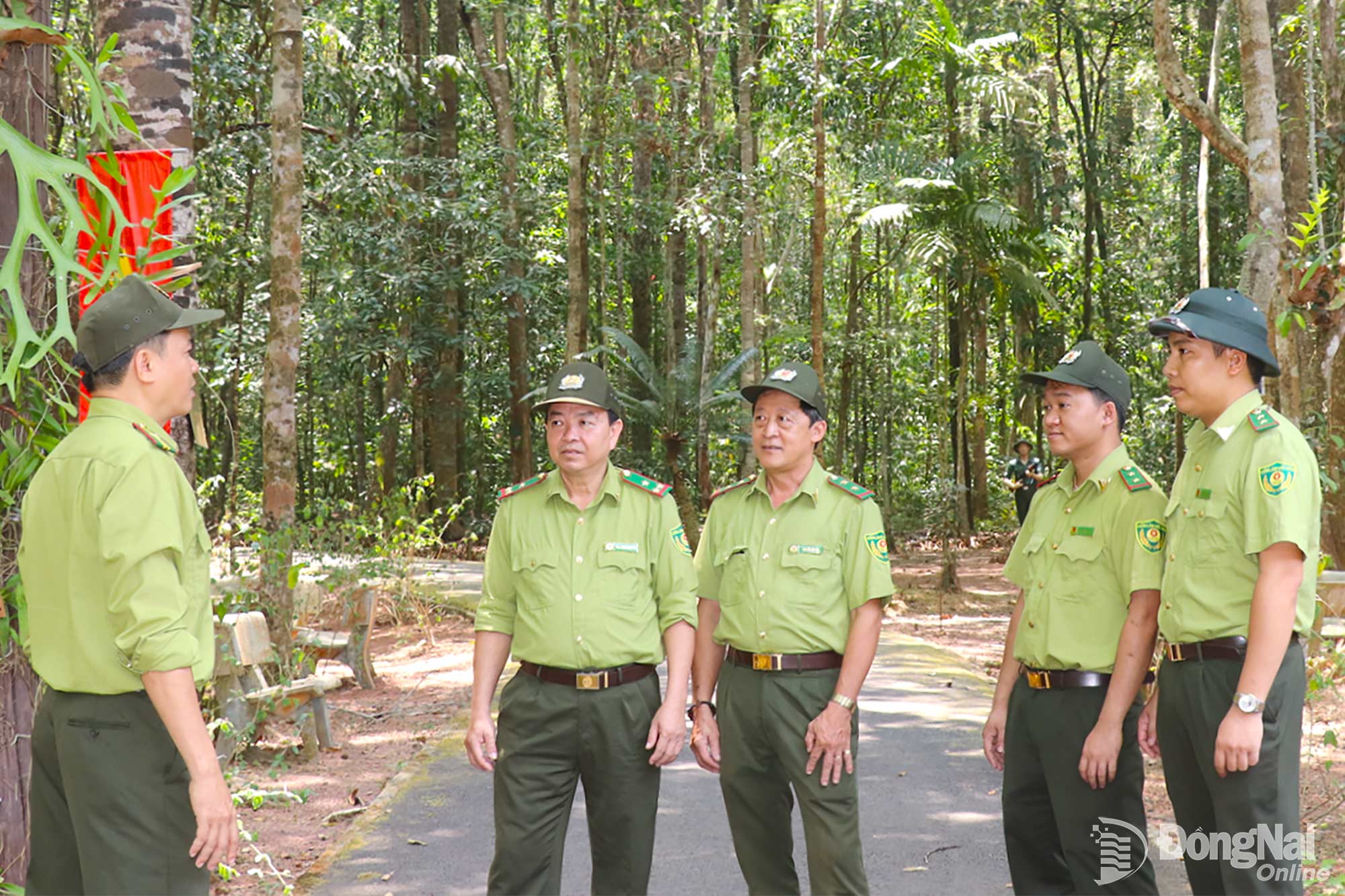 .Thầm lặng bảo vệ rừng, di tích lịch sử Chiến khu Đ