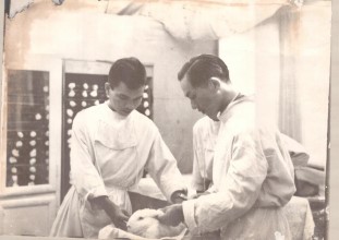 Giáo sư, bác sĩ Đặng Văn Ngữ: Cống hiến hết mình cho tổ quốc