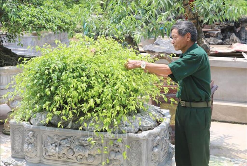 CHIẾC GÁNH TRE