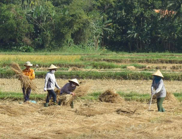 Khi chiến thắng thôi thúc lòng người
